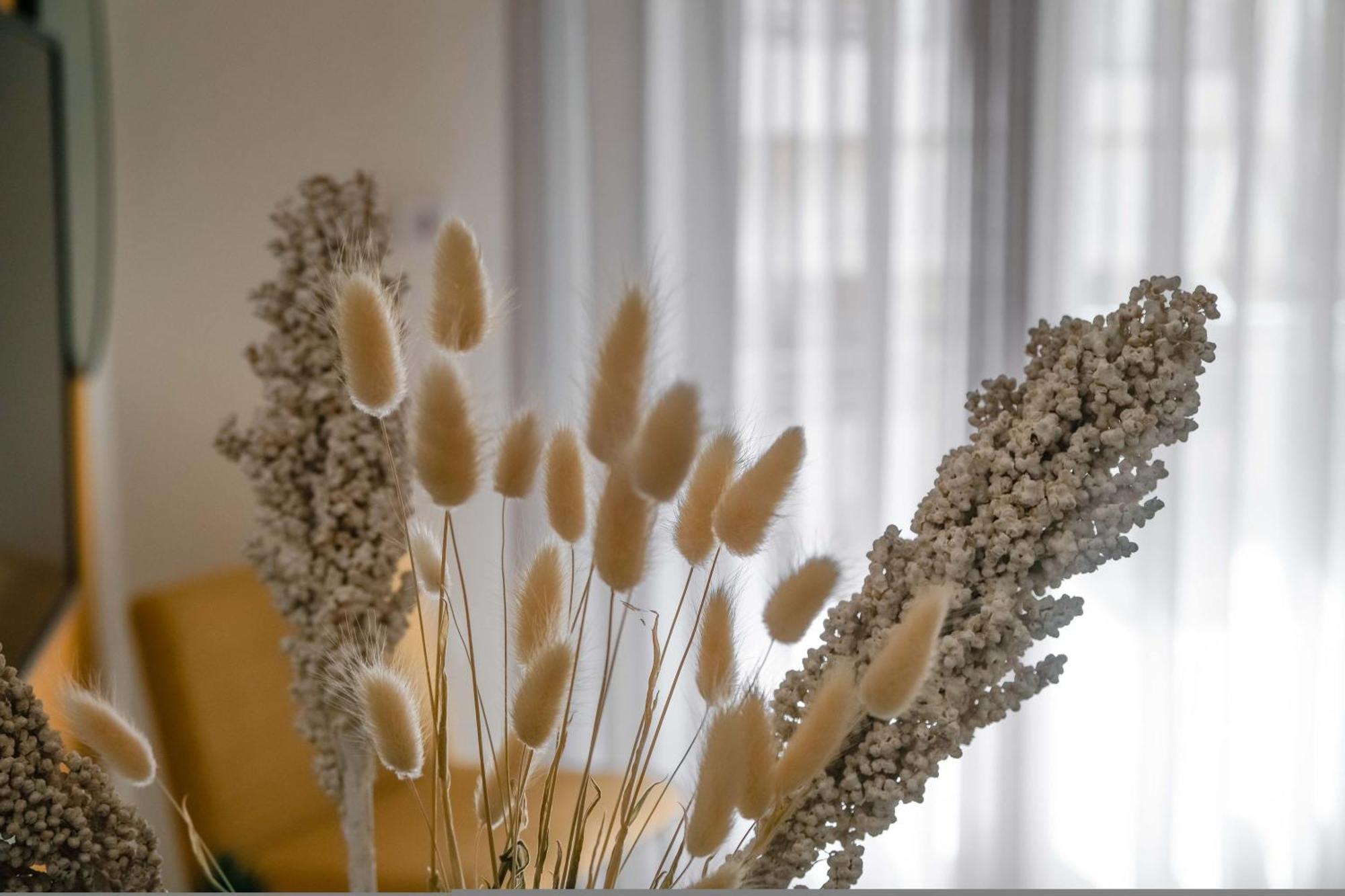 Orsiida Family Apartment Βόλος Εξωτερικό φωτογραφία